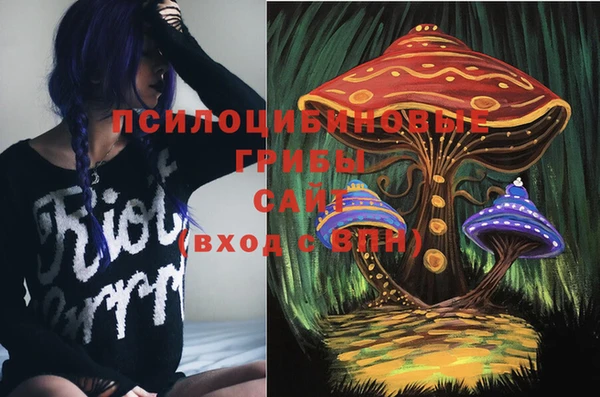 синтетический гашиш Алексин